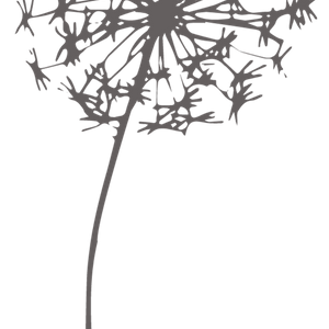 Chemins de liberté - Kathleen Tellier Chasseneuil-du-Poitou, Médiation Équine, Hypnose