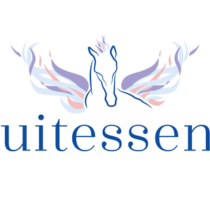 Equitessence - Audrey RAFINI Lacoste, Médiation Équine