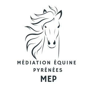 Médiation Equine Pyrénées  Garin, Médiation Équine